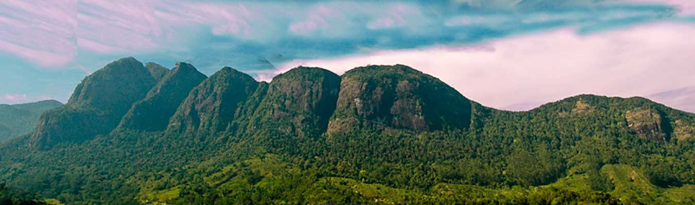 Saptha Kanya mountain, Martinair Flight 138 