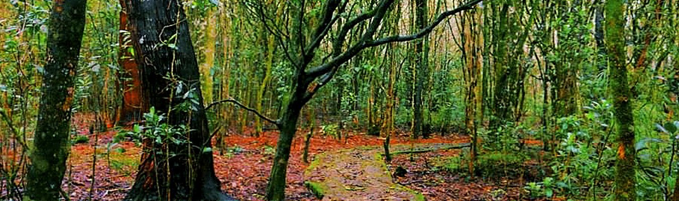 Galway's Land national park