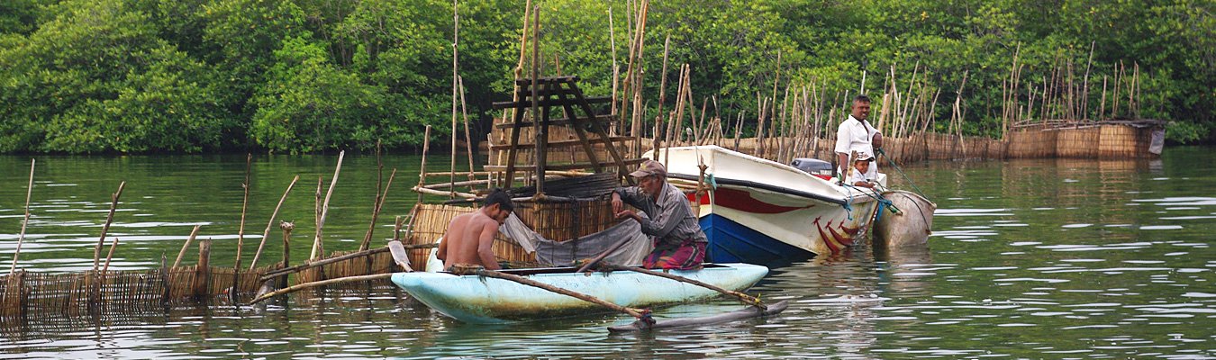 Madu Ganga, Boat ride