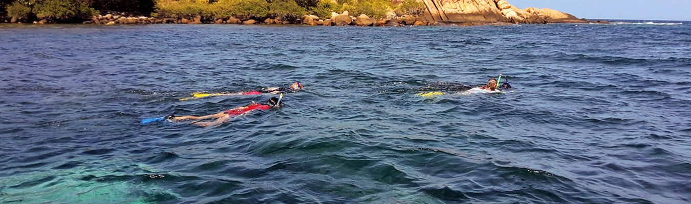 Snorkeling and Scuba diving, Pigeon Island , Coral Island