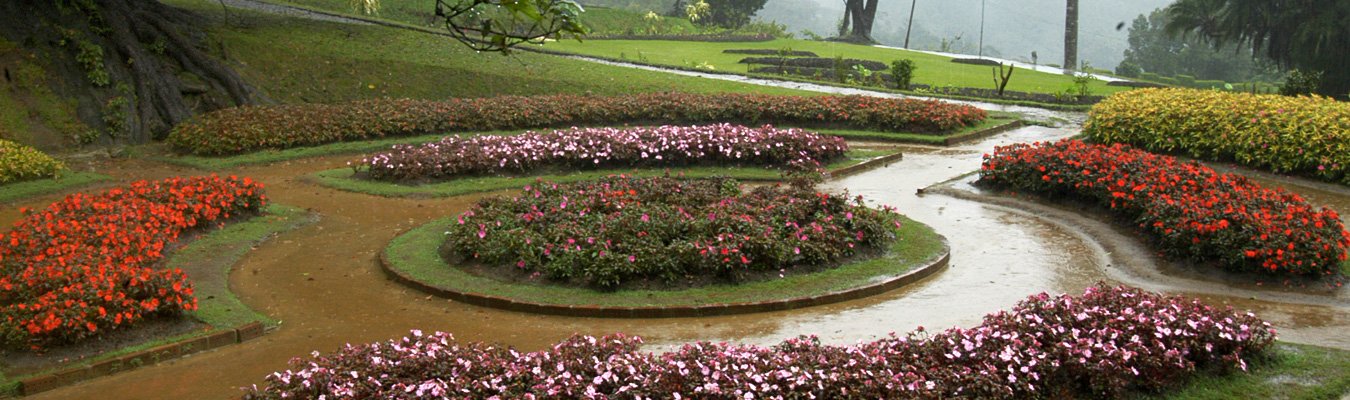 Hakgala Botanical Garden, Ashok Vatika