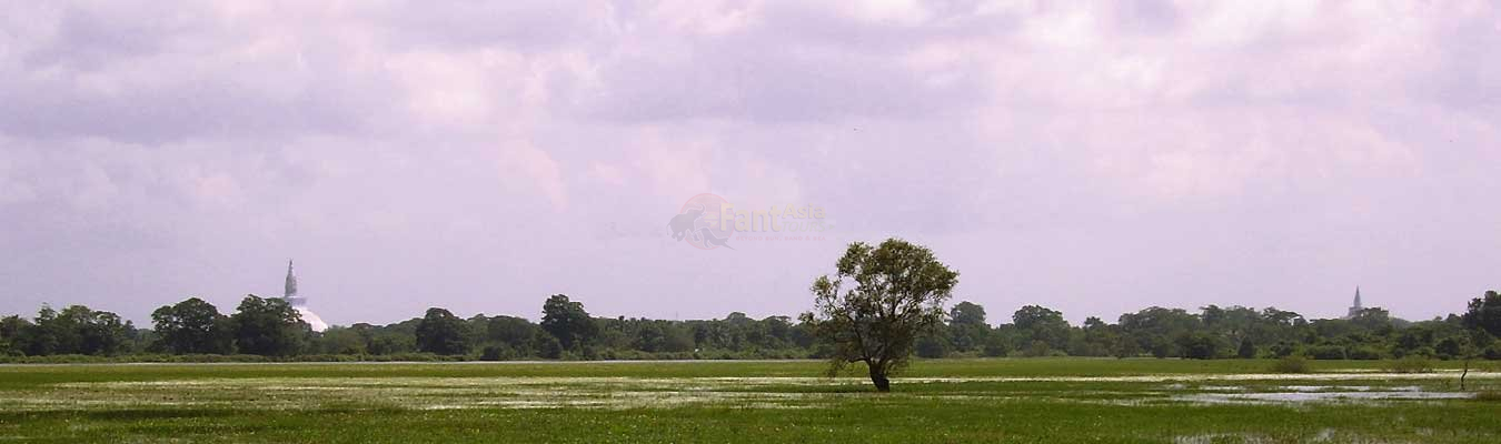 Anuradhapura Kingdom - History of Sri Lanka