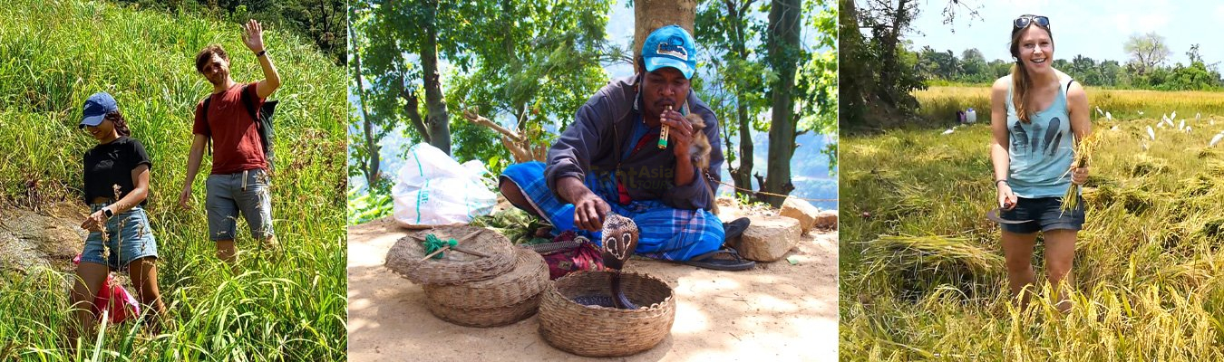 Discover Sri Lanka’s Living Heritage | Culture, Nature & People