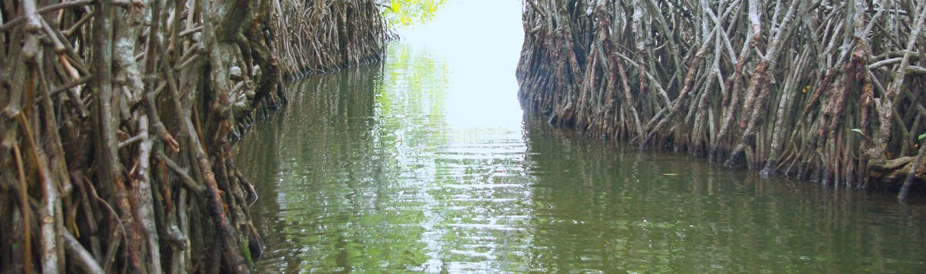 Ramsar Wetlands in Sri Lanka