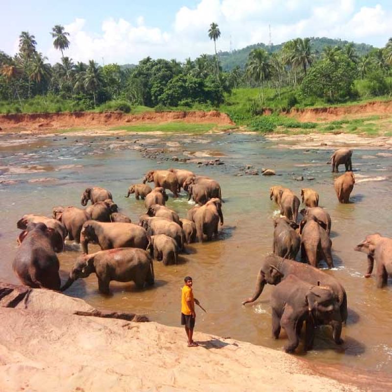 KItulgala & Pinnawala Tour from Bentota