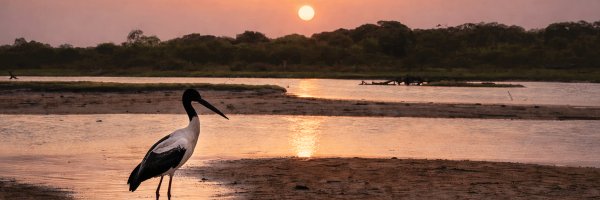 Sri Lanka Photography Expedition | Landscapes, Culture & Wildlife Through the Lens